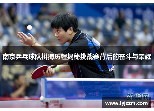 南京乒乓球队拼搏历程揭秘挑战赛背后的奋斗与荣耀
